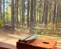 The Lagom: отзыв от Елизавета