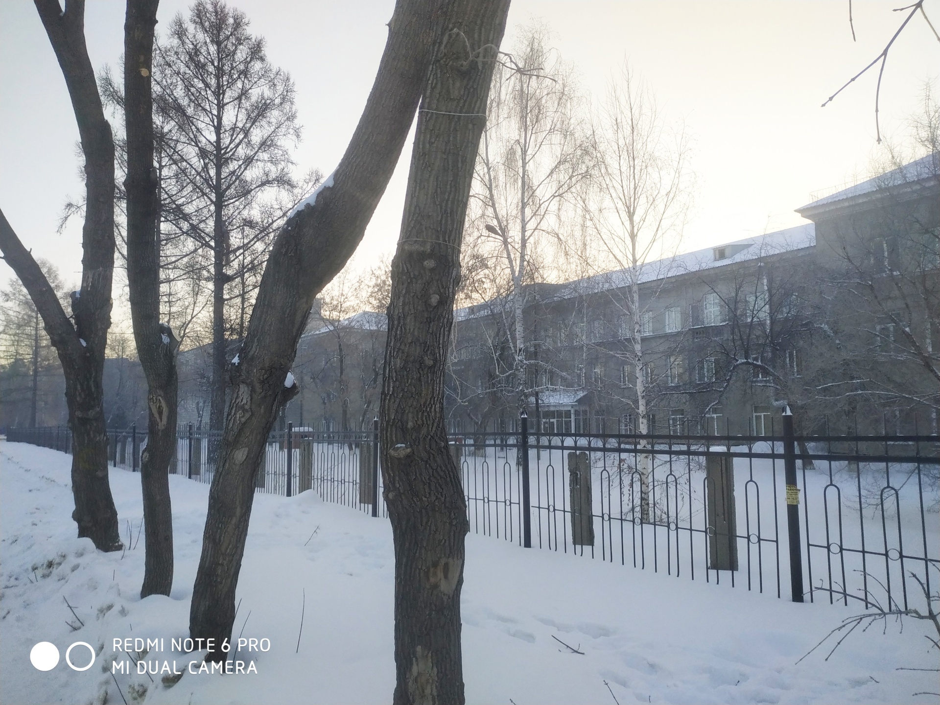 Государственная областная Новосибирская клиническая туберкулезная больница,  Вавилова, 14, Новосибирск — 2ГИС