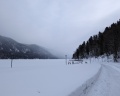 Altay Village Teletskoe: отзыв от Nikita B
