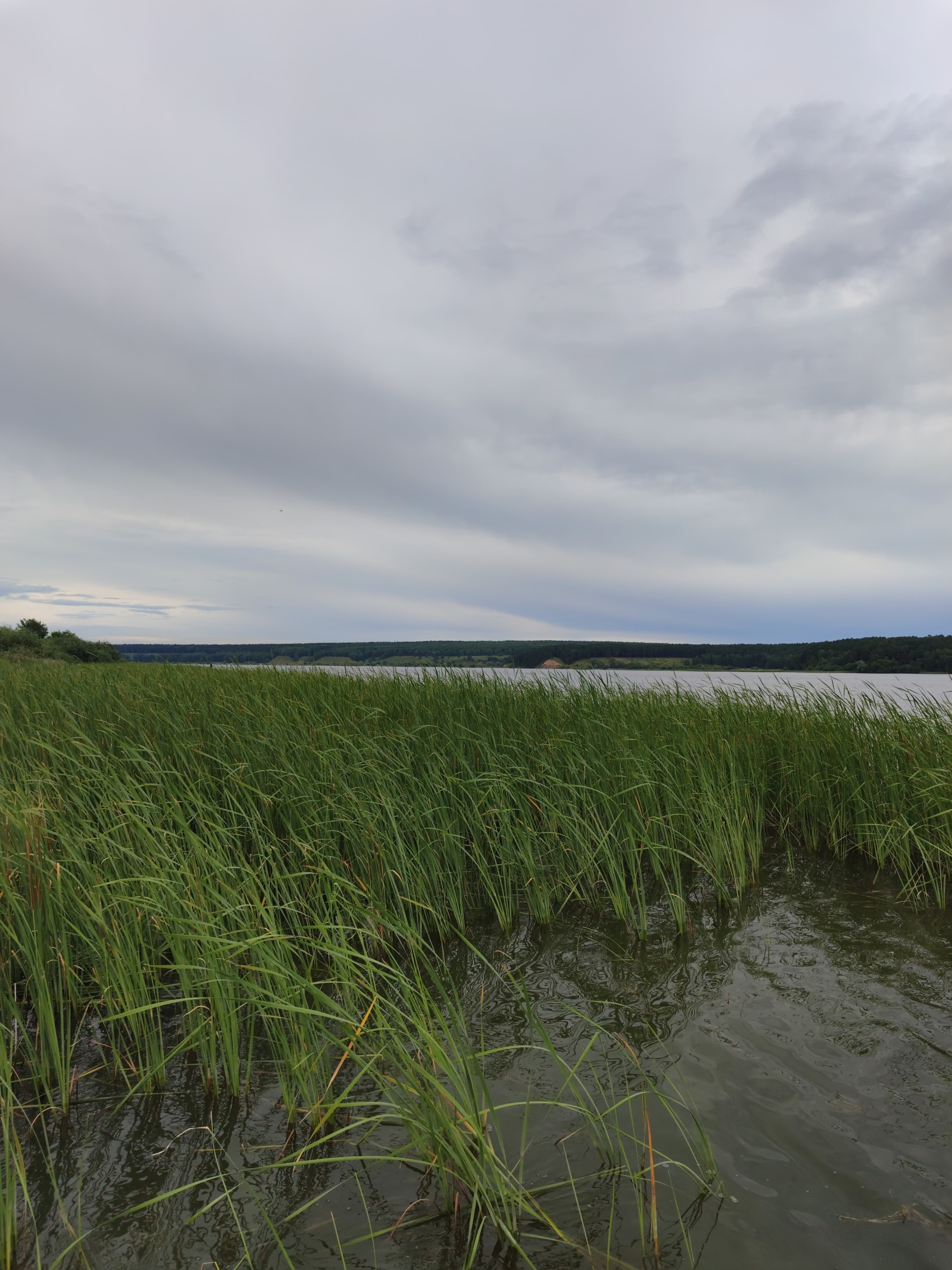 Порно кастингтен ұят