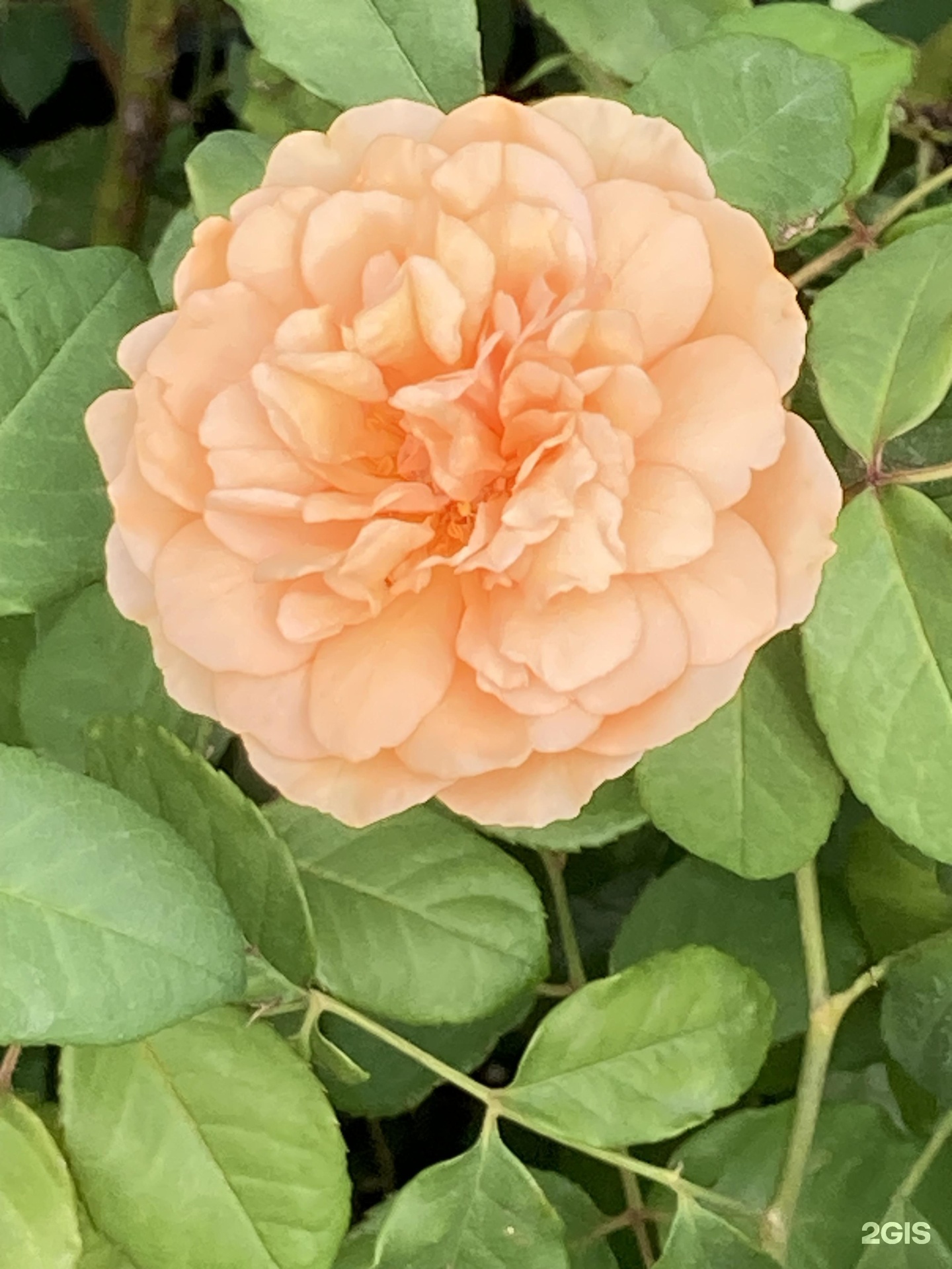 Порно секс эротика Валюйки Жыныстық фетиш памперстер