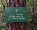 Мысли: отзыв от Хасанова Жанна