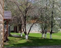 Grand Altai Манжерок: отзыв от Татьяна Прудникова