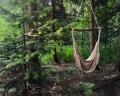 Loko Glamp: отзыв от Smoke S