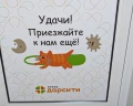 Дарсити: отзыв от Тимур Ахметшин