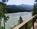 Altai ForRest: отзыв от Наталья Михайлова