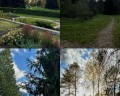 Ботанический сад Академгородка: отзыв от M1 M2