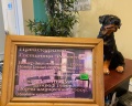 Рассвет: отзыв от Светлана Легачева
