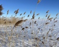 Золотой Берег: отзыв от Татьяна -