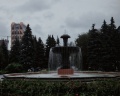 Дендропарк: отзыв от *Antonina Antonina*