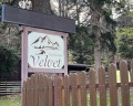 Velvet: отзыв от Аркадий Назаров