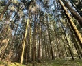 Berloga Country Resort: отзыв от Roza Polini