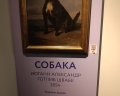 Мраморный дворец: отзыв от Алёна Некрасова