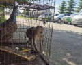 Благодать: отзыв от Карен Деп