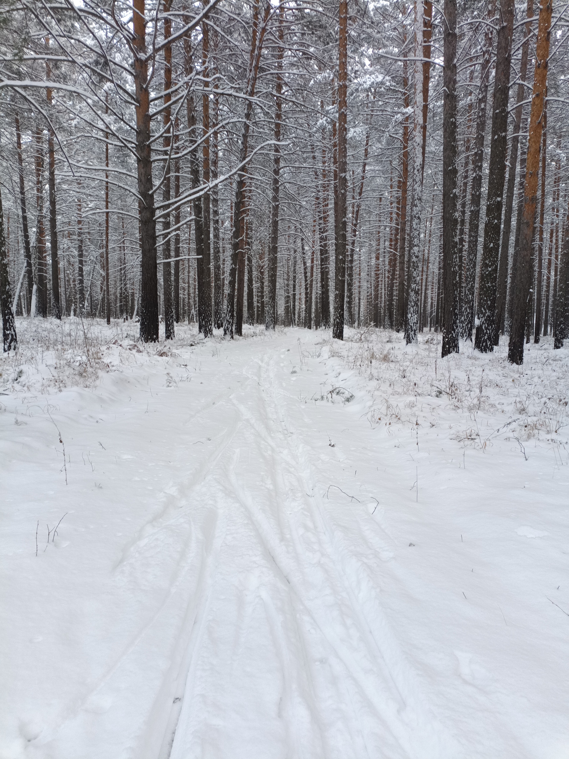 Снежинка, Солнечная улица, 2а, Сосновоборск — 2ГИС