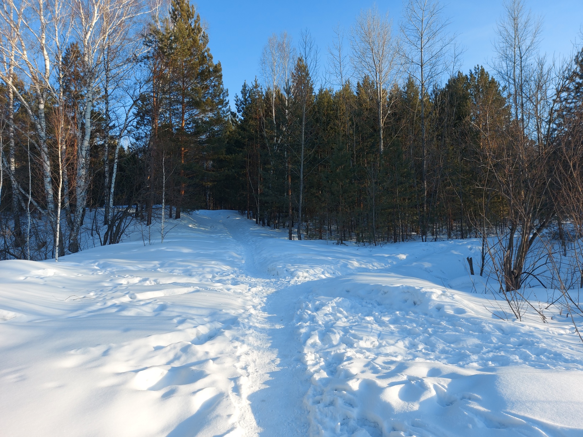 Нижняя Ельцовка, микрорайон, Новосибирск — 2ГИС