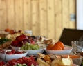 Fazenda: отзыв от Лада Пантюхина