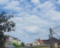Гости Эльбрус: отзыв от Александр В.