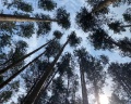 Шелест Inn: отзыв от Танина Ксения