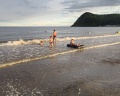 Шато Красный кот: отзыв от Олеся Сахарова