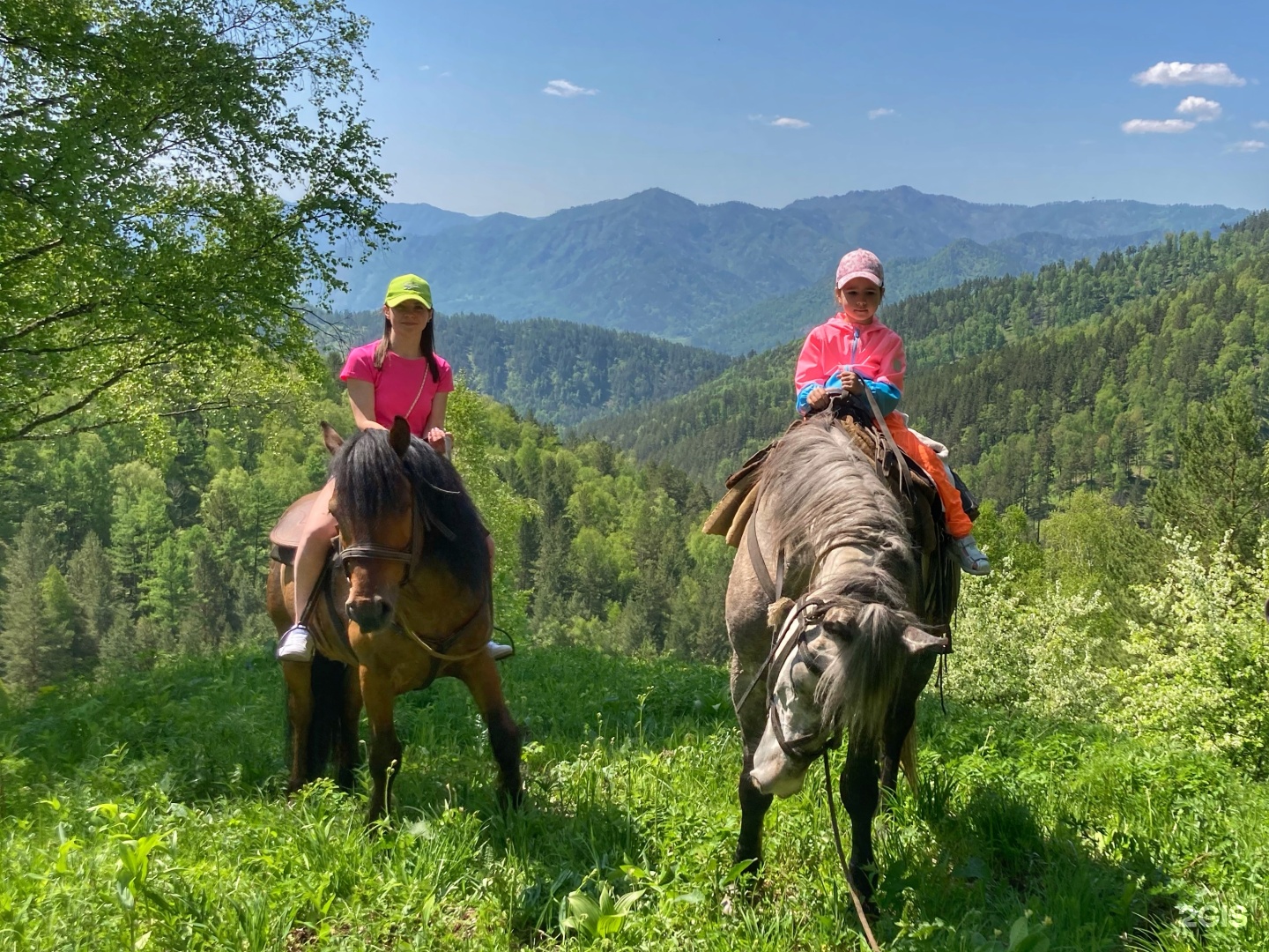 Бурла, личное подсобное хозяйство, Куюмская улица, 9, с. Элекмонар — 2ГИС