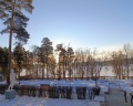 Сосновая горка: отзыв от Макс ...