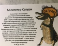 Дарвиновский музей: отзыв от Елена Соколова