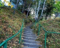 Шышки: отзыв от Елена Каптевич
