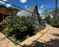 Кипарис: отзыв от Анна Протазова