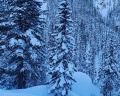 Siberia Мамай: отзыв от Таня Мантатова