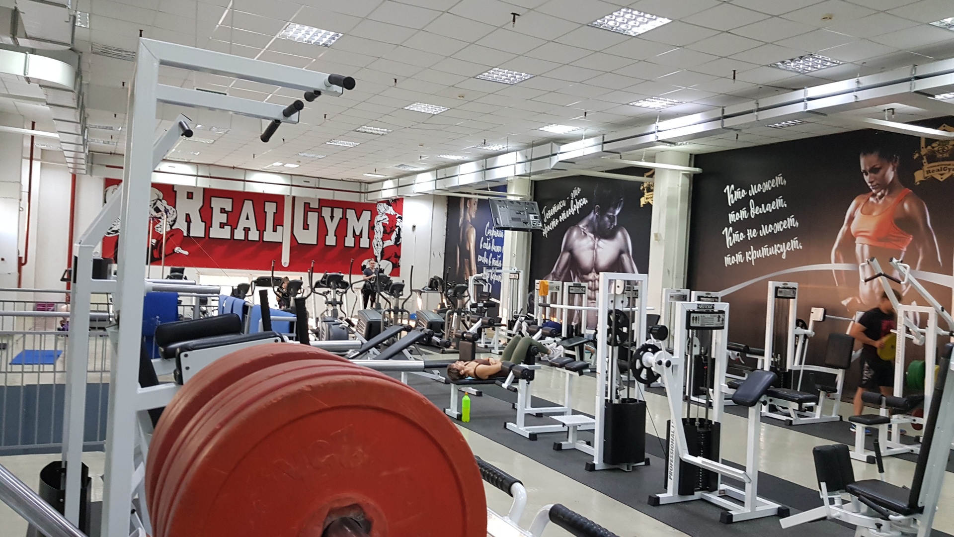 Real gym, ТЦ Белый Хутор, улица Кирова, 306/2, Белогорск — 2ГИС