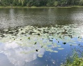 Столица мира: отзыв от Алена -