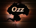Ozz: отзыв от Елена Баль