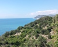 Город Mira Family Resort&SPA Anapa Miracleon: отзыв от Татьяна Филяева