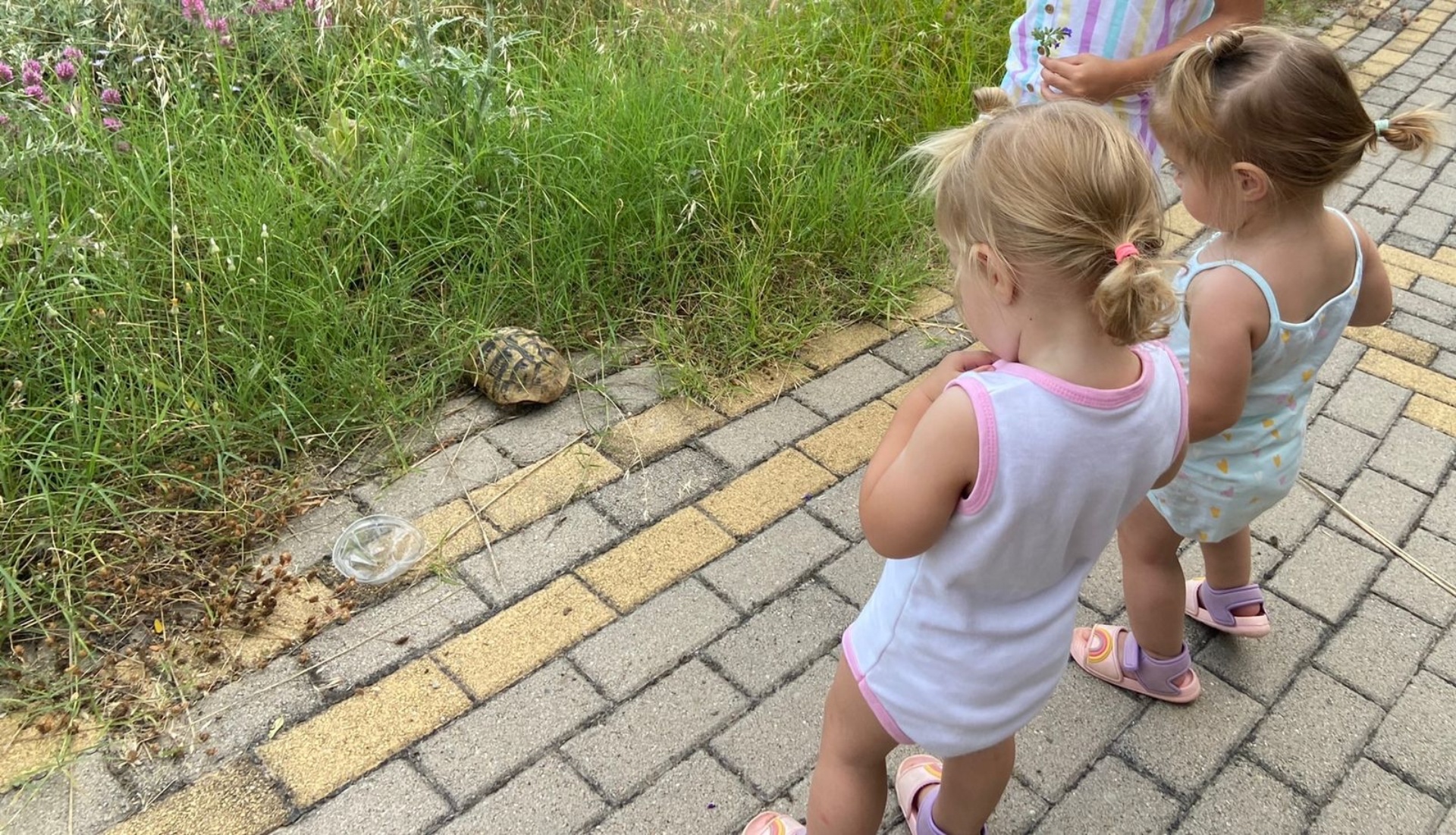 Bambiliani, частный детский сад, Южная, 9, Новороссийск — 2ГИС