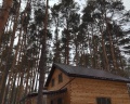 Сны Леса: отзыв от лиана