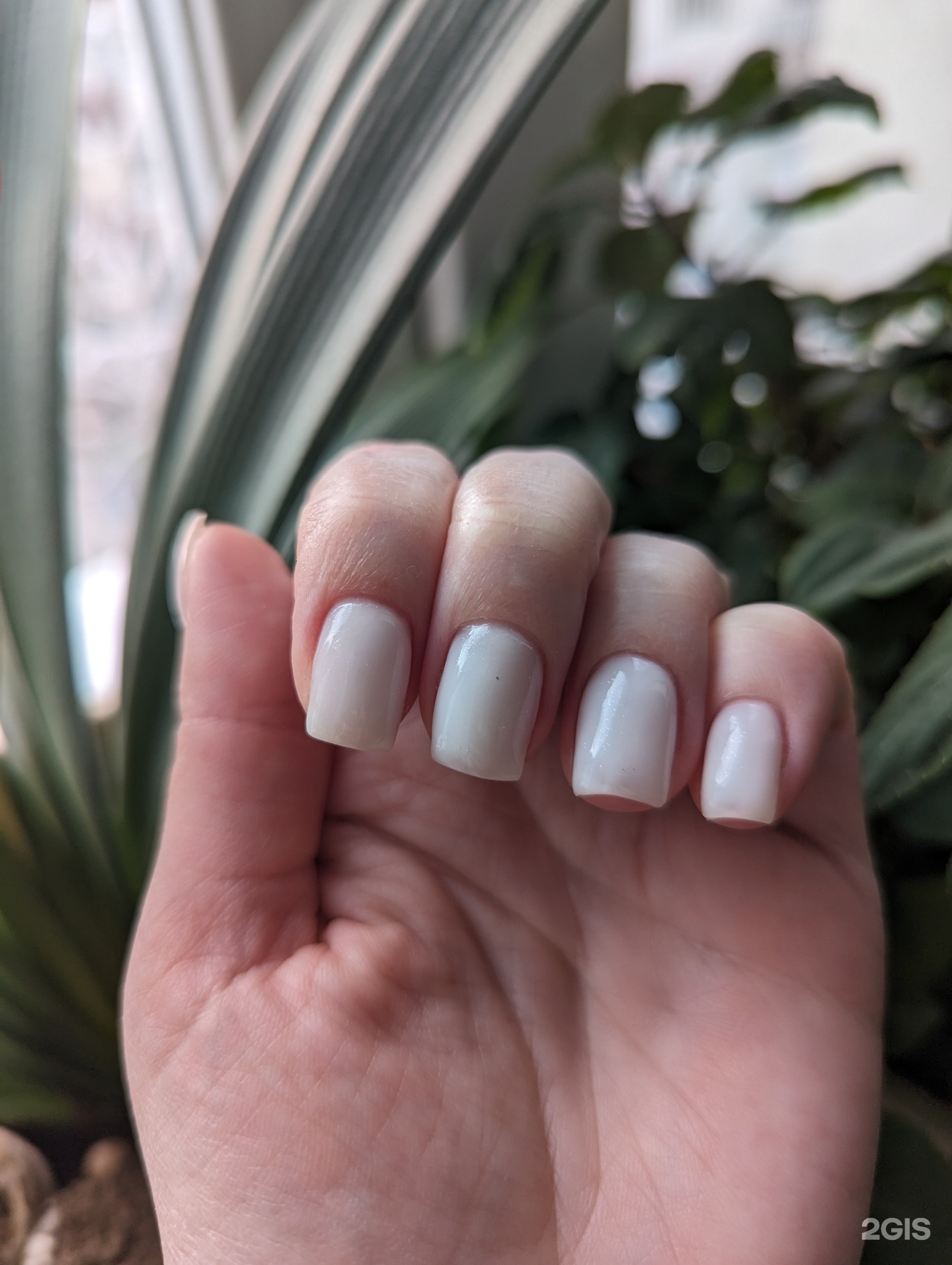 Elastic Nails, студия маникюра, Московская, 82, Пенза — 2ГИС