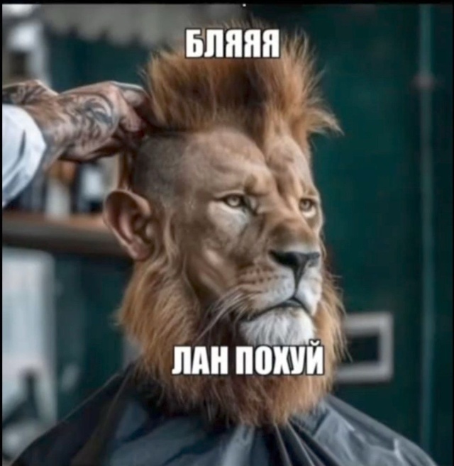 Миссионерлік позициядағы ең әдемі секс