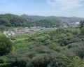 МореЛето: отзыв от Ирина Захарова