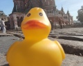 Храм Василия Блаженного: отзыв от Николай Елкин