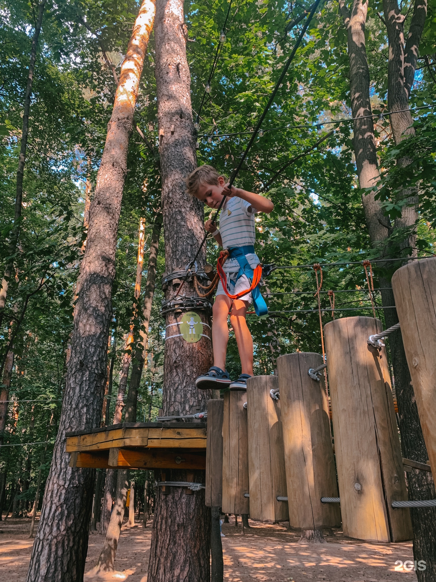 БeLка park, веревочный парк приключений, Парк Роща Гузовского,  Университетская улица, 41а к1, Чебоксары — 2ГИС