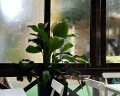 Фрегат-2 by Viva Hotels Group: отзыв от Алина Дворник