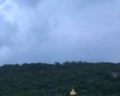 4 Дуба: отзыв от Ольга Кошель