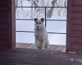 Kamchatka forest lodge: отзыв от Светлана Машукова