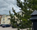 Old Estate Hotel&SPA: отзыв от Евгения Степанова