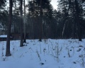 Алтай Ривер: отзыв от Дарья Дарья