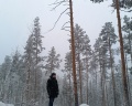 Alpen Camp: отзыв от Юлия Бугианишвили