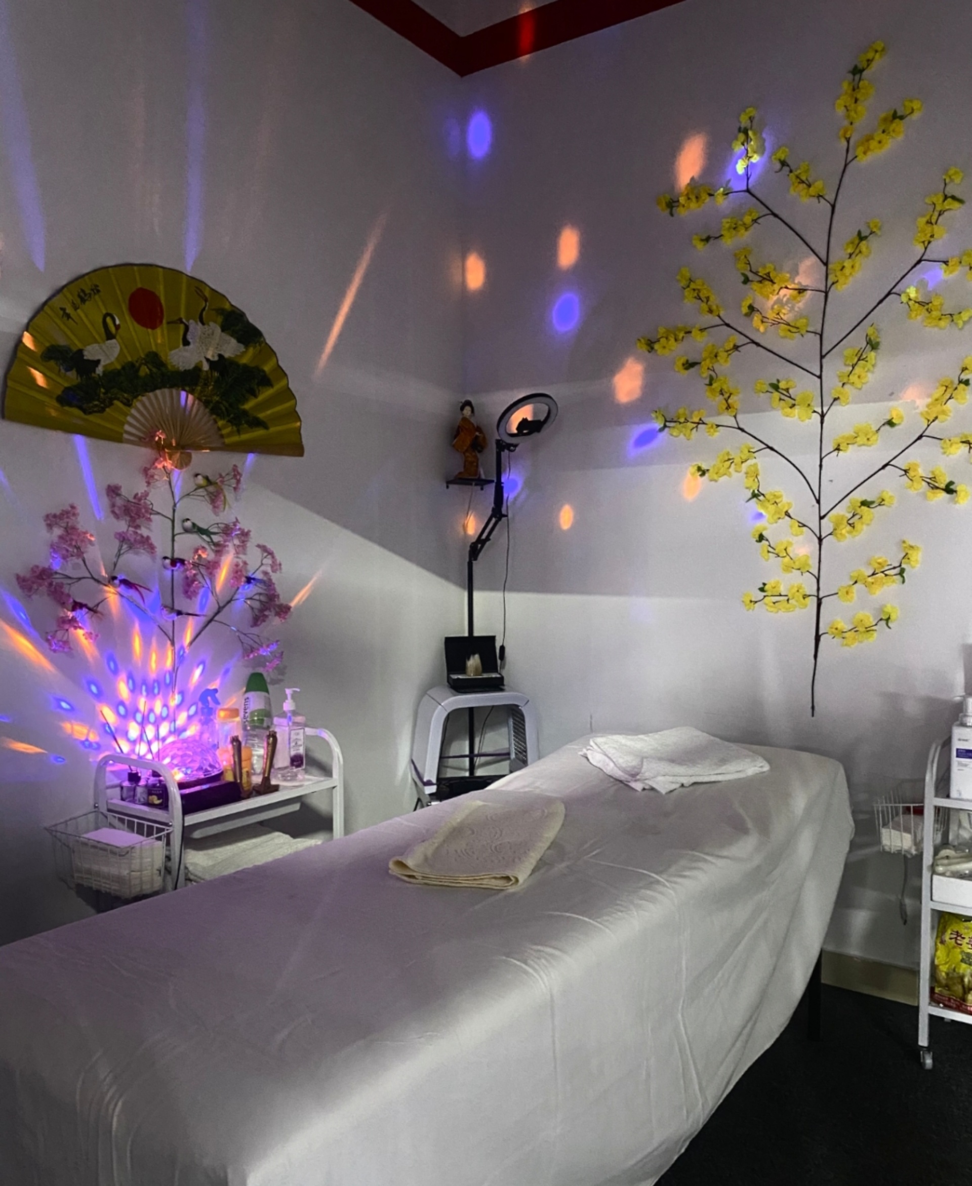 Сексуалдық турист Берлин