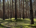 Orsha River Club: отзыв от Алина Смирнова