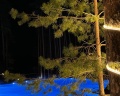 Pioneer Resort Hotel: отзыв от Виктория Михайлова